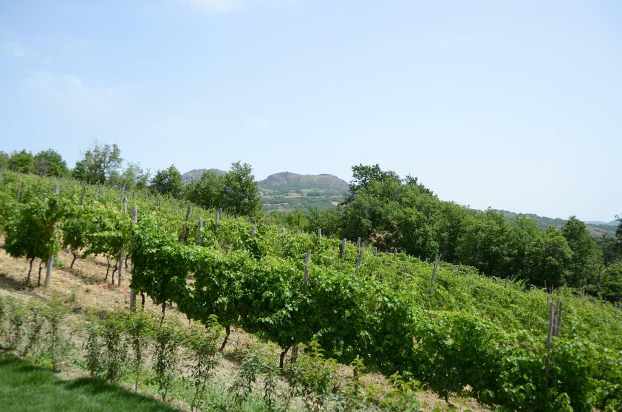 Agriturismo Ca' Del Sartu Bobbio Luaran gambar